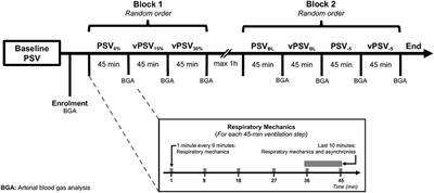 Effects of Different Levels of Variability and Pressure Support Ventilation on Lung Function in Patients With Mild–Moderate Acute Respiratory Distress Syndrome